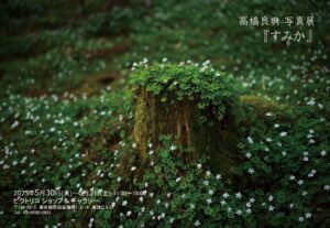 高橋良典 写真展『すみか』2023年5月30日～6月3日 @ピクトリコ ショップ＆ギャラリー